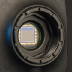 Choosing the Best Camera Sensor for Spectroscopy